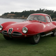Illustration for article titled Endangered Species: Alfa Romeo 1900 SS